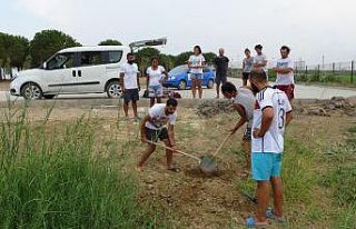 Telef olan 90 kiloluk dev kaplumbağa biyoçeşitlilik...