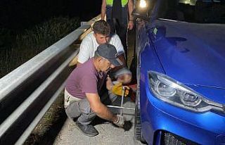 TEM otoyolunda ilginç olay