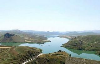 Tercan Baraj Gölü balık üretim üssü olacak
