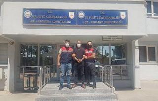 Terör örgütü üyesi operasyonla yakalandı