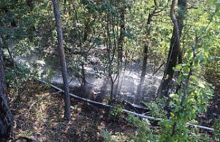 Tokat’ta, ormanlık alanda yangın