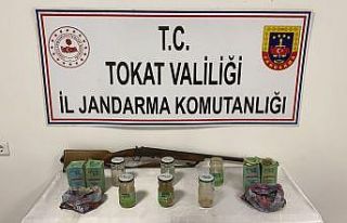 Tokat’ta uyuşturucu operasyonu: 7 gözaltı