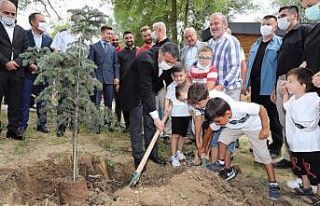 Toplu sünnet şöleni sonrasında fidanlar toprakla...