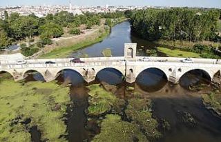 Tunca Nehri çöp ve yosunlarla kaplandı