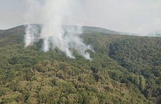 Tunceli’de 2 helikopter ve 1 uçakla yangına müdahale...