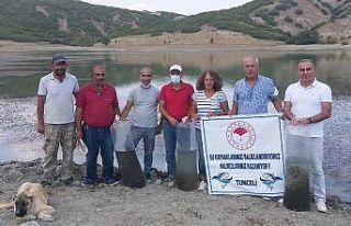 Tunceli’de Günboğazı Göletine 100 bin pullu...