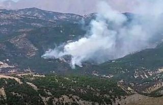 Tunceli’deki orman yangını devam ediyor