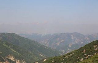 Tunceli’deki yangınlara karadan ve havadan müdahale...