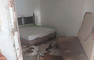 Tüpten sızan gaz bomba gibi patladı: 3 yaralı