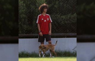 Turgutluspo’un sabah antrenmanına davetsiz misafir