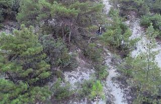 Türkiye’nin en değerli ormanları hem drone hem...