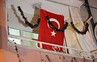 Uçak kazasında hayatını kaybeden pilotun Elazığ’daki...