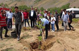 Ülkede çıkan yangınlardan dolayı Nemrut Dağı’nda...