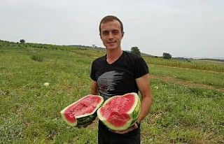 Üniversite öğrencisinin yetiştirdiği organik...