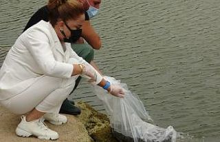 Uşak’ta 259 bin sazan göllere bırakıldı