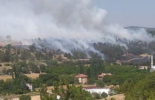 Uşak’ta arazide çıkan yangın, ormana sıçradı