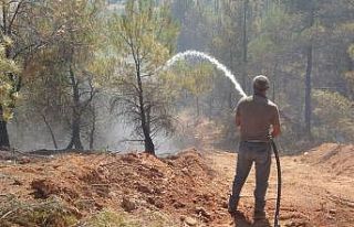 Uşak’ta çıkan orman yangını büyümeden söndürüldü