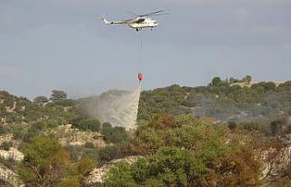 Uşak’ta çıkan yangın kontrol altına alındı