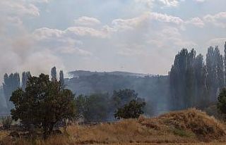 Uşak’ta çıkan yangına havadan müdahale ediliyor