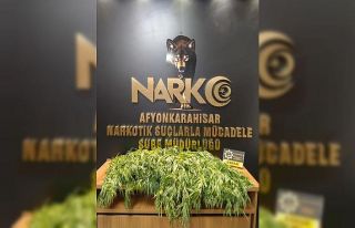 Uyuşturucu operasyonunda yakalanan şahıs tutuklandı