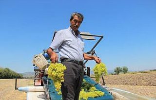 Üzümcünün kulağı bakandan gelecek müjdeli haberde