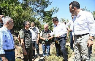 Vali Aksoy’dan alev savaşçılarına teşekkür