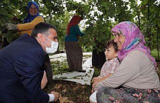 Vali Atay fındık işçileri ile sohbet etti