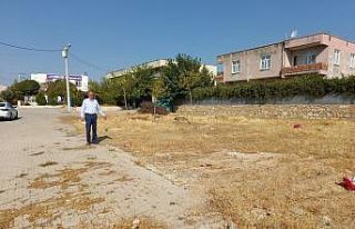 Vali Karaloğlu’nun talimatıyla Dicle İsmail Hakkı...