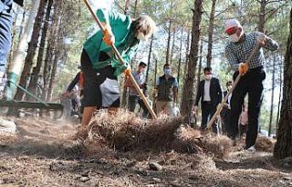 Vali ve Belediye Başkanı ormanı temizledi