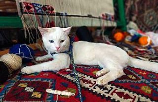 Van Büyükşehir Belediyesi Malazgirt’teki yerini...