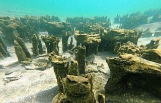 Van Gölü’nde yeni mikrobiyalitler keşfedildi