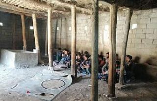 Van’da 2 ahırda 42 düzensiz göçmen yakalandı