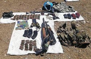 Van’da çobanlara ve göçerlere yönelik kontrollerde...