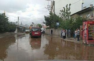 Van’da sel