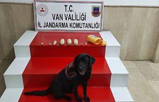 Van’da taşların arasında saklanmış 2 kilogram...