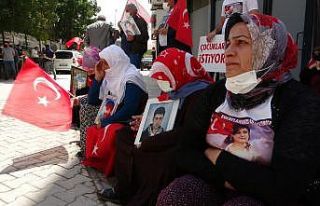 Vanlı annelerin evlat eylemi devam ediyor