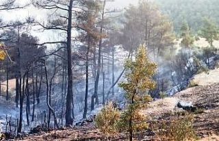 Vatandaş desteğiyle yangın kontrol altına alındı