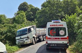 Virajda kamyonla panelvan araç çarpıştı: 1 yaralı