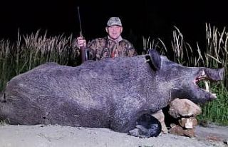 Yabancı avcılar Yozgat’ta 350 kilo ağırlığında...