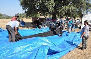 Yanan çadırın yenisi elbirliğiyle kuruldu