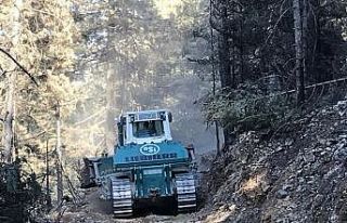 Yanan kökleri tek tek bulup söndürüyorlar