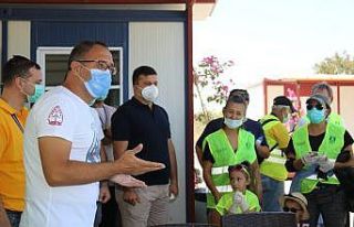 Yanan ormanlar temizleniyor