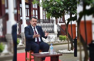Yanan ormanları yeşertmek için harekete geçildi