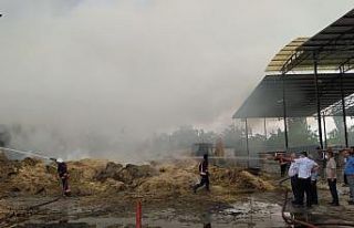 Yangın ahıra sıçramadan söndürüldü