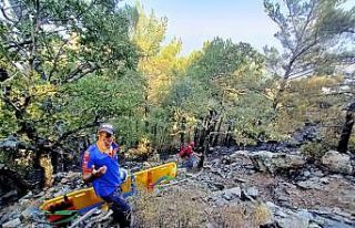 Yangın çalışmalarında kayalıklardan düşen...