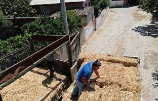 Yangında zarar gören çiftçiler yem ve saman bağışı
