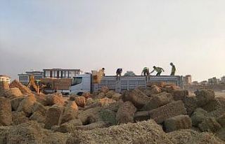 Yangında zarar gören çiftçiye yem ve saman dağıtılıyor