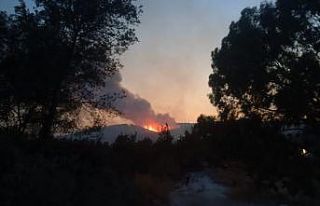 Yangınları söndürmek için seferber oldular