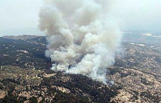 Yatağan’da orman yangını