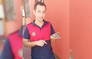 Yavru yusufçuk kuşunun imdadına itfaiye yetişti